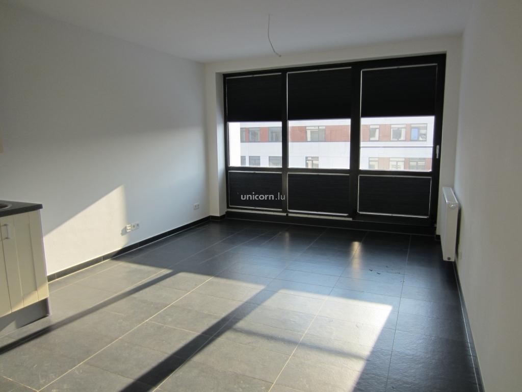 Studio for rent in Belval  - 27.2m²